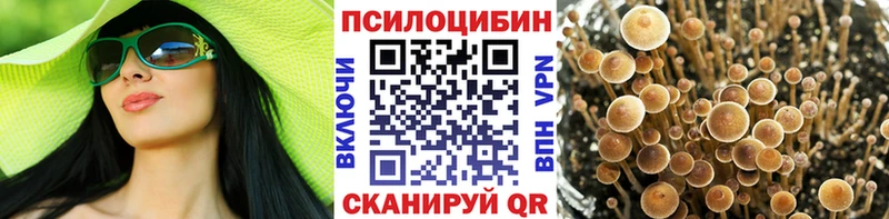 Псилоцибиновые грибы мицелий  Кизляр 