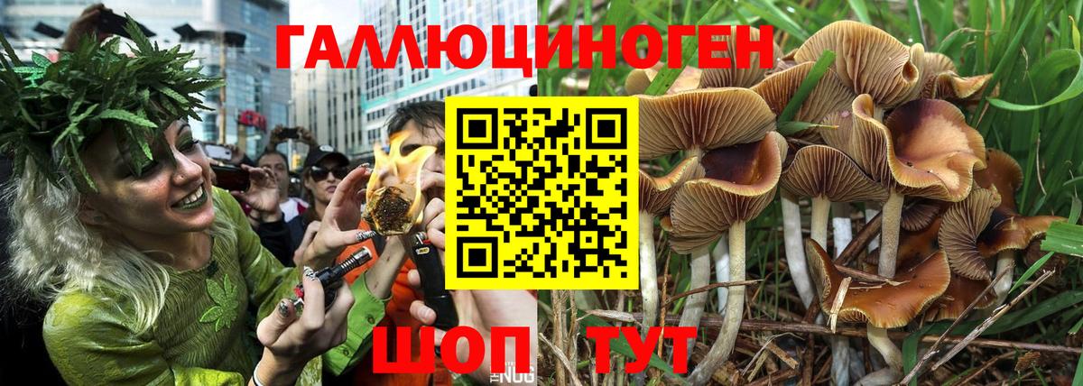 Кизляр  Галлюциногенные грибы MAGIC MUSHROOMS  хочу наркоту  Галлюциногенные грибы MAGIC MUSHROOMS  Вход с VPN 