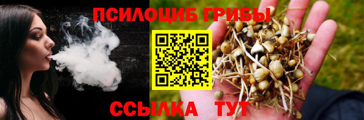 Псилоцибиновые грибы прущие грибы Кизляр